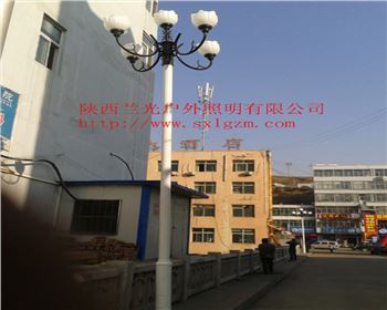 甘肅中華燈-陜北道路照明項(xiàng)目 甘肅中華燈-陜北道路照明項(xiàng)目