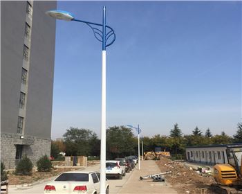 市電路燈-陜西省西安市西北大學長安校區(qū)路燈工程 市電路燈-陜西省西安市西北大學長安校區(qū)路燈工程