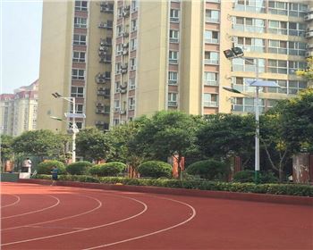 寧夏學(xué)校路燈改造-寧夏省西安高新一中路燈項(xiàng)目 寧夏學(xué)校路燈改造-寧夏省西安高新一中路燈項(xiàng)目