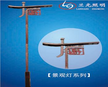 青海雙頭市電景觀燈